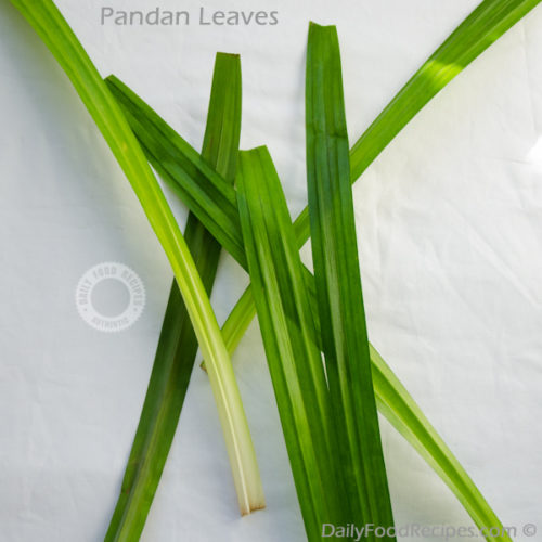 Pandan Leaves